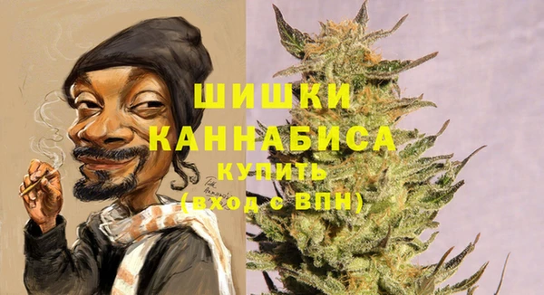 2c-b Рославль