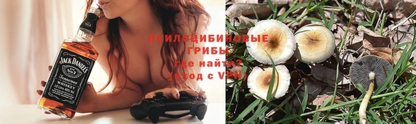 spice Алзамай