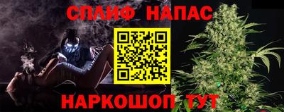 стаф Каменск-Шахтинский