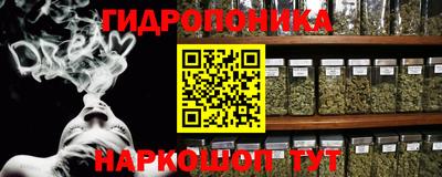 стаф Каменск-Шахтинский