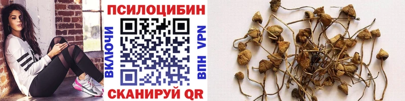 купить закладку  Краснокамск  Псилоцибиновые грибы ЛСД 