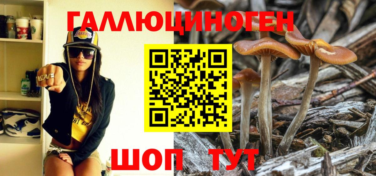 Краснокамск  Псилоцибиновые грибы мицелий  купить наркоту  Галлюциногенные грибы прущие грибы  Вход с VPN 